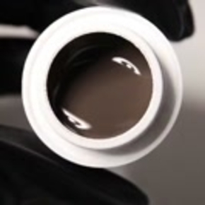 UV/LED nail polish inner compass
